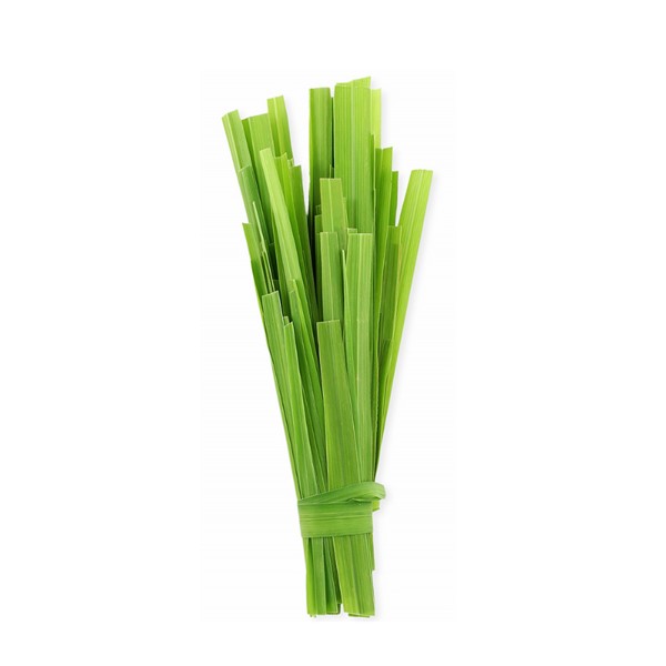 10 - citronella 1.jpg (26 KB)